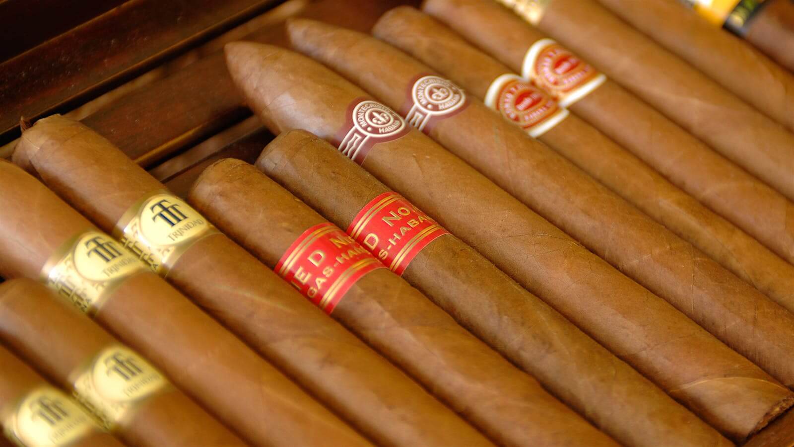 Buy Cuban Cigars Online - An authentic smoking experience
